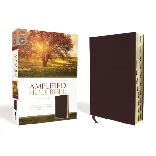 Amplified-Am: Captures the Full Meaning Behind the Original Greek and Hebrew